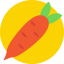 Carrot icon 64x64