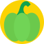 Pumpkin icon 64x64