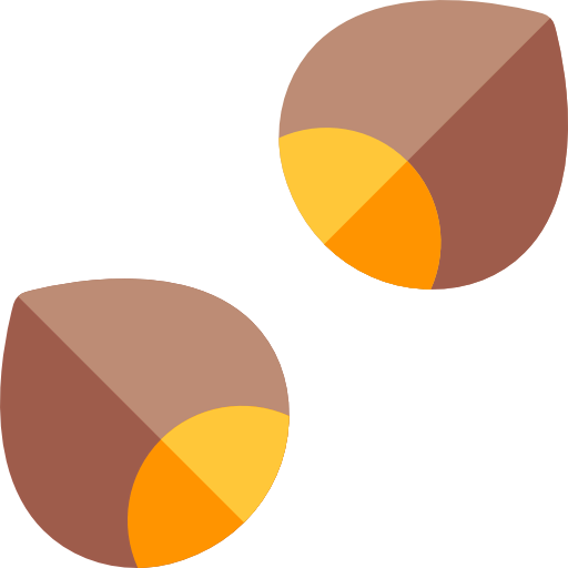 Nuts icon