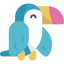 Toucan 图标 64x64