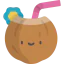 Coconut 图标 64x64