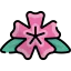 Flower 图标 64x64