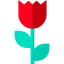 Flower icon 64x64
