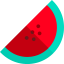 Watermelon icon 64x64