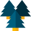 Forest icon 64x64