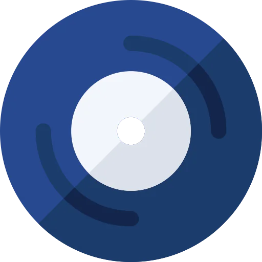 Vynil icon