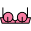 Brassiere icon 64x64