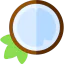 Coconut іконка 64x64