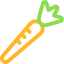 Carrot icon 64x64
