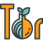 Тор иконка 64x64