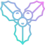 Mistletoe icon 64x64