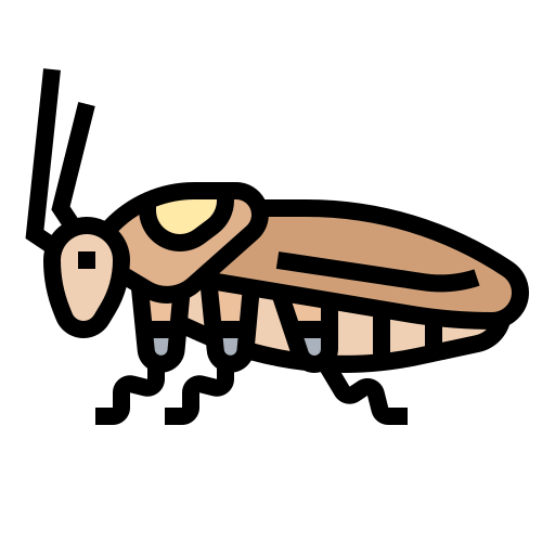 Cockroach icon