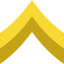 Chevron ícono 64x64