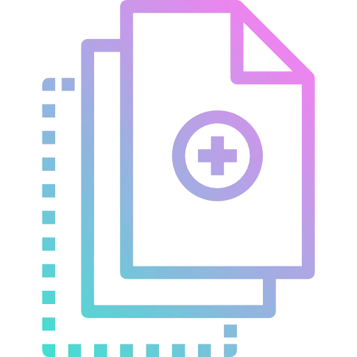 Duplicate icon