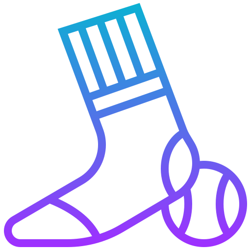Socks icon