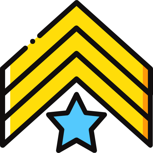 Chevron icon