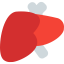 Liver icône 64x64
