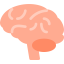 Brain icon 64x64