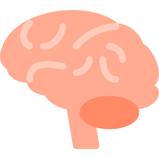Brain icon