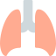 Lungs icon 64x64