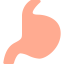 Stomach icon 64x64