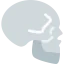 Skull icon 64x64