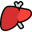 Liver icône 64x64