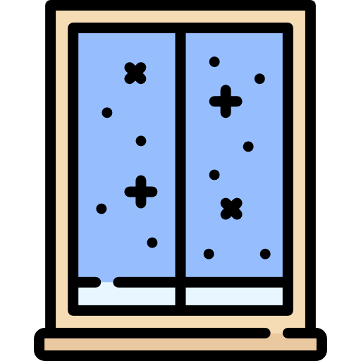 Window icon