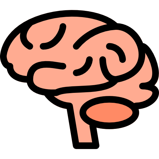 Brain icon