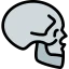 Skull icon 64x64
