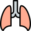 Lungs icon 64x64
