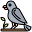 Crow icon 64x64