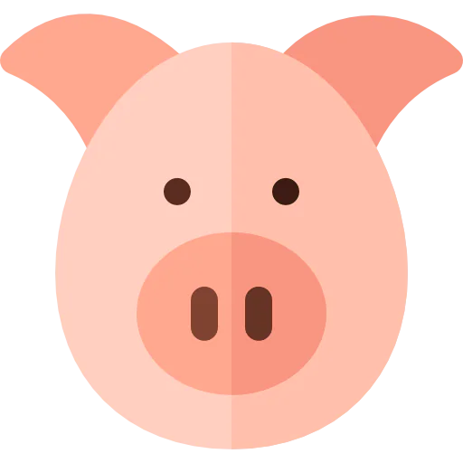 Pig icon