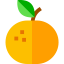 Tangerine 图标 64x64