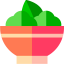 Salad 图标 64x64