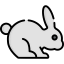 Rabbit 图标 64x64