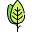 Leaf 图标 64x64