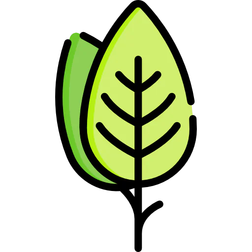 Leaf icon