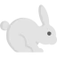 Rabbit icon 64x64