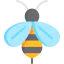 Bee icon 64x64