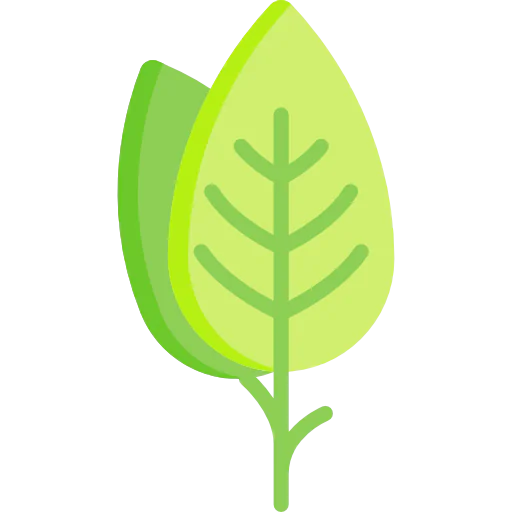 Leaf icon