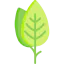 Leaf icon 64x64