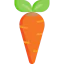 Carrot icon 64x64