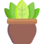 Plant icon 64x64