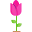 Flower icon 64x64