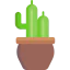 Cactus icon 64x64