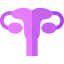 Uterus icon 64x64
