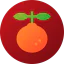 Orange icon 64x64