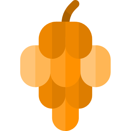 Pine cone icon