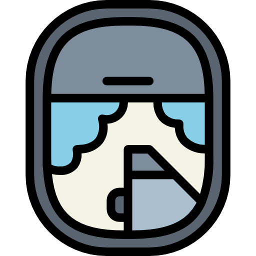 Window icon